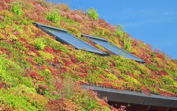 Calver Sough living roof systems