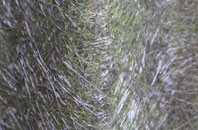 Calver Sough fibreglass roof work